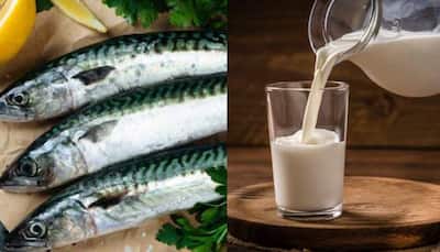 10 Harmful Food Combinations To Avoid - Milk & Fish To Cheesy Foods With Cold Drink And More