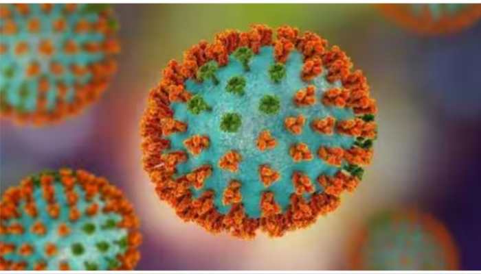 H3N2 Virus: Gujarat Woman Dies Of Flu-Like Symptoms; Reports Awaited On Cause