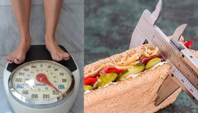 How To Manage Obesity: Primary Causes And Steps To Follow To Lose Weight