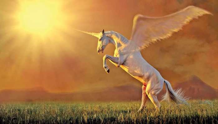 India Adds 23 New Unicorns In 2022, Overtakes China For The Second Consecutive Year: Report