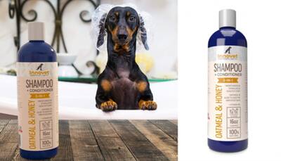 How To Choose Right Dog Shampoo For Your Dog: A Comprehensive Guide