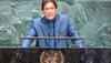 imran khan support
