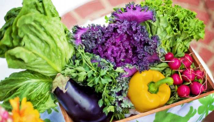 Best Food For People With High Blood Pressure To Prevent Kidney Problems - Check Complete List