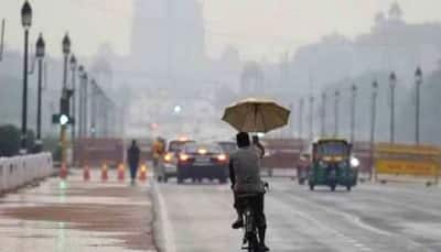 As Delhi-NCR Gets Warmer, Light Rain Expected To Bring Relief Today: IMD
