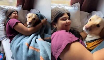 Ashwini Vaishnaw Shares Video Of Woman Travelling With Pet Dog On Train, Netizens React