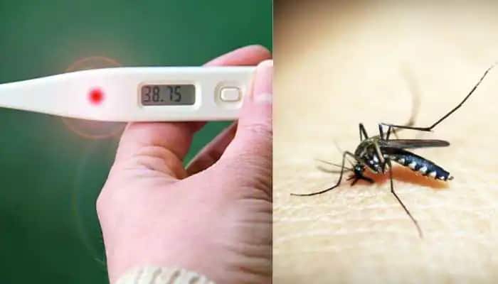 Seasonal Flu: Dengue Returns As The Seasons Change While Influenza Is Still Rampant