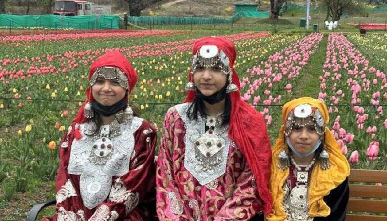 Tulip Gardens Of Kashmir Fasci Garden