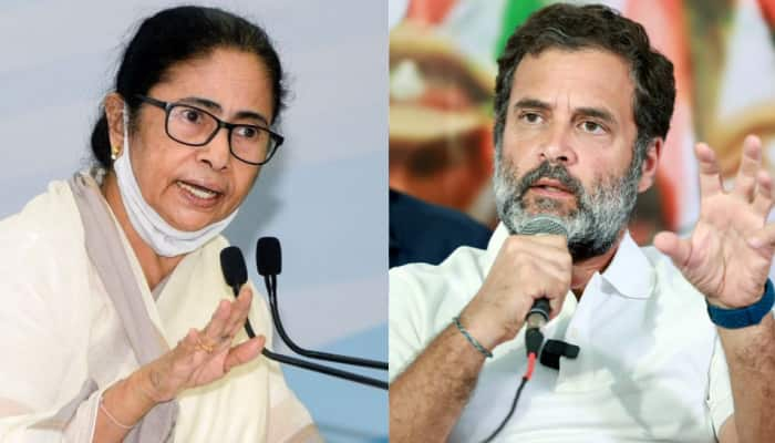 BJP Making Rahul Gandhi &#039;Hero&#039; Because...: Mamata Banerjee&#039;s Dig At Congress MP