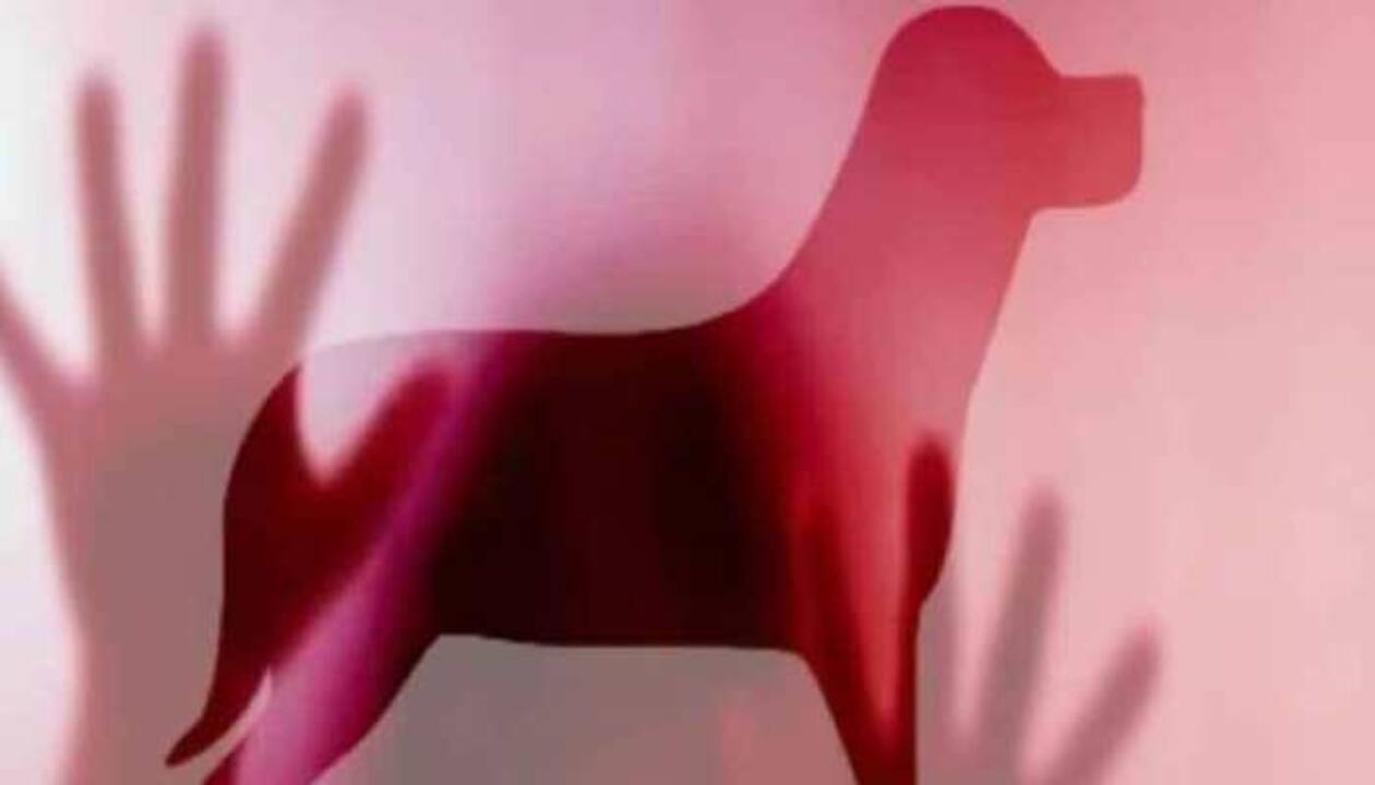 Kannada Dog Video Sex - Bihar Shocker: Man Rapes Dog In Patna, Probe Ordered After Video Goes Viral  | Bihar News | Zee News