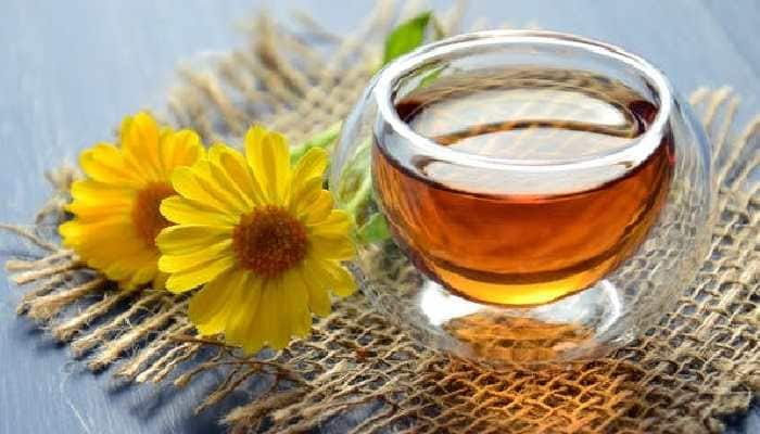 Green Tea Health Benefits: 7 Reasons Why You Should Drink It In Morning