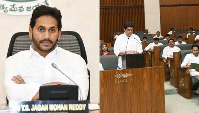 Shock For Ruling YSRCP As Cross-Voting Helps TDP Win Andhra Pradesh Legislative Council Seat 