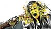acid attack in dwarka