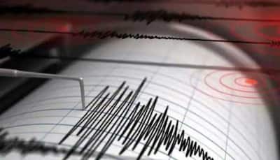 Chhattisgarh Jolted By Earthquake Of Magnitude 3.9