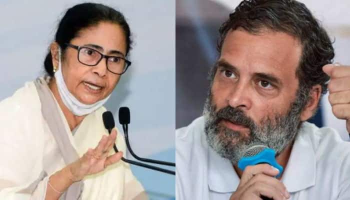 'Prime Target Of BJP': Bengal CM Mamata Banerjee Slams Modi Government Over Rahul Gandhi's Disqualification