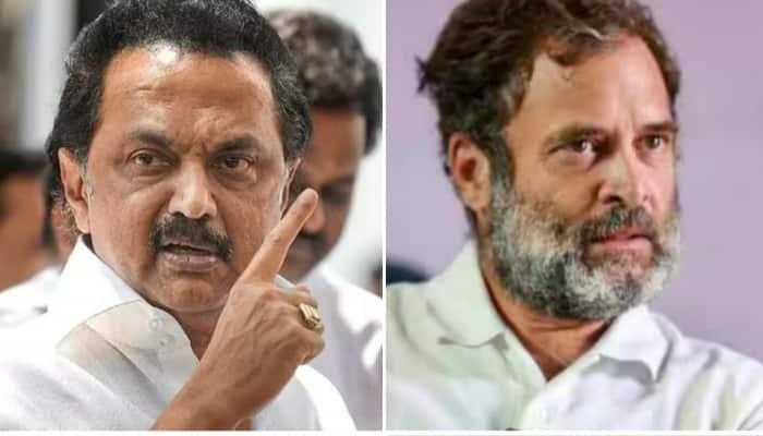 MK Stalin, Uddhav Thackeray Extend Support To Rahul Gandhi, Call His Disqualification Attack On Democracy