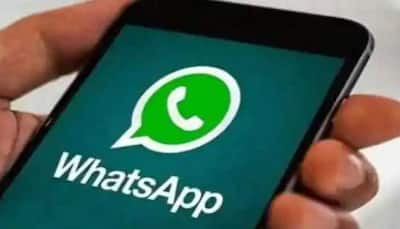 WhatsApp Launches Official Chat On iOS, Android - Details Inside