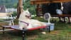 Exclusive - Pet Care In Summers: 7 Tips On How To Take Care Of Your Furry Friend In Scorching Heat