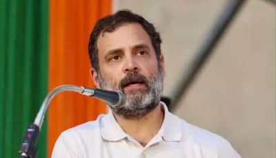 Rahul Gandhi's Lok Sabha Disqualification: Congress To Hold Day-Long Satyagraha