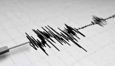 Rajasthan's Bikaner Jolted By 4.2 Magnitude Earthquake, No Damage Reported