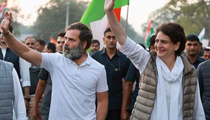 Fact Check: Did Rahul Gandhi Graduate From Harvard University As Claimed By Priyanka Gandhi?