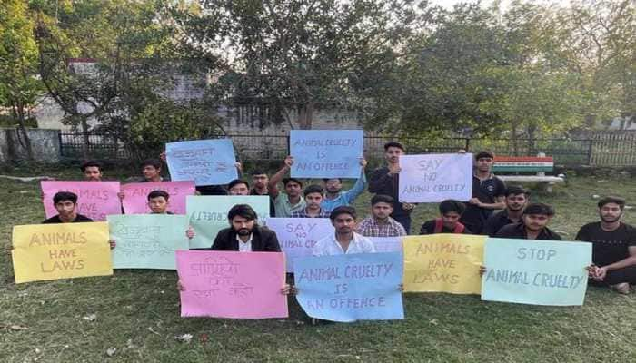 March Organised For Awareness On Animal Abuse, Feeder Rights