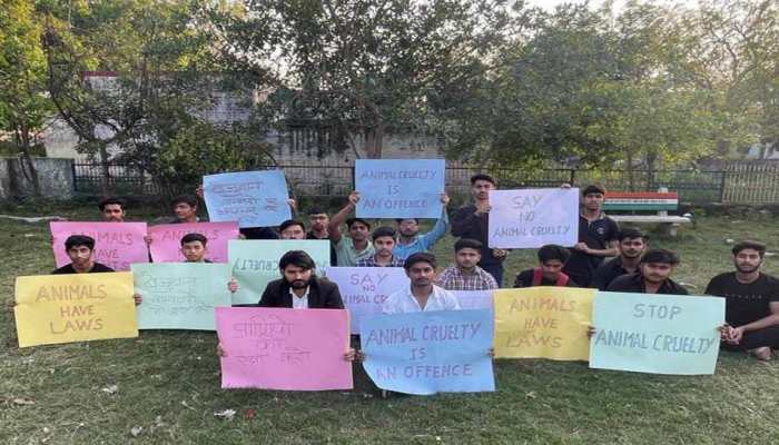 March Organised For Awareness On Animal Abuse, Feeder Rights