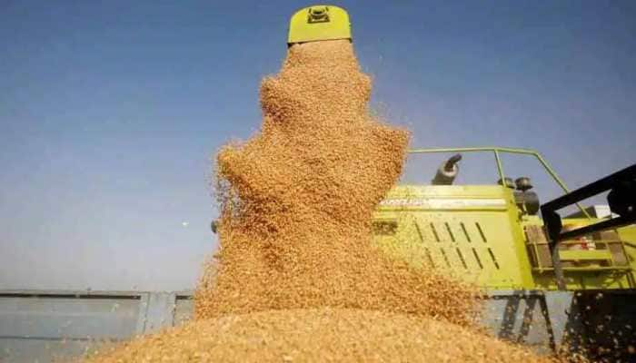 FCI Stops Wheat Auction Under OMSS For Now - Here&#039;s Why