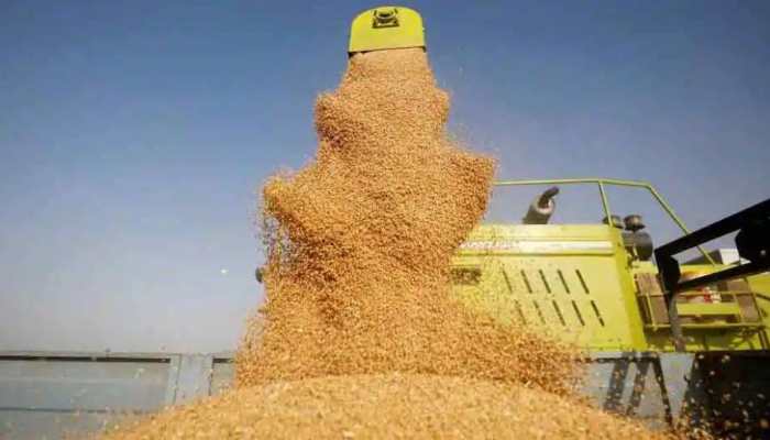 FCI Stops Wheat Auction Under OMSS For Now - Here's Why