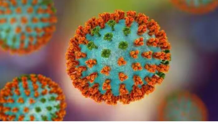 H3N2 Virus: Himachal Reports First Case As 10-Weeks Old Baby Girl Gets Influenza