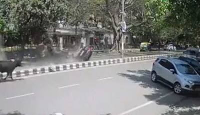 Watch: Horrific Car Crash Caught On Camera In Delhi's CR Park; Video Goes Viral
