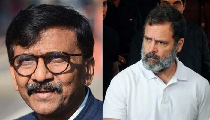 Savarkar Remark: After Meeting Sonia Gandhi, Rahul In Parliament, Sanjay Raut Says Everything Is Fine