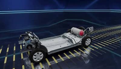 Maruti Suzuki Working On Flex Fuel Vehicles To Reduce Emissions: CV Raman