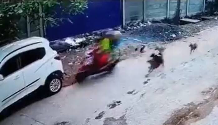 Video: Odisha Woman Rams Scooty Into Car After Being Chased By Stray Dogs