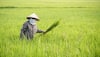 The Challenges and Opportunities PM Kisan Scheme