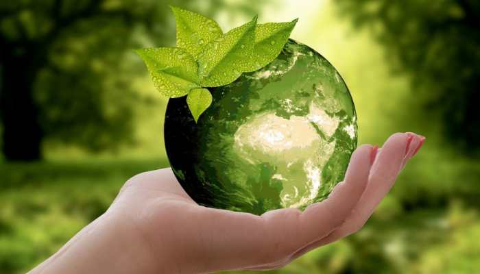 Go Green: Recycle Earth&#039;s Waste Like Rice Husks To Make Utility Items Like Mugs