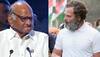 Congress Reacts As NCP Chief Pawar Disagrees With JPC Demand On Adani Issue