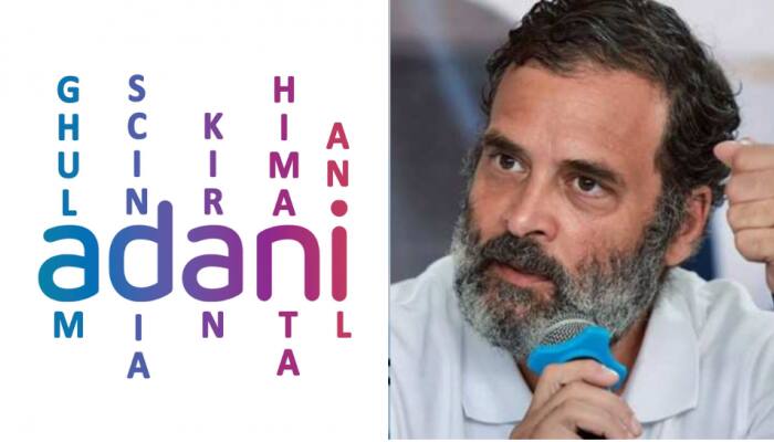 Adani Row: Rahul Gandhi Critical Of Former Congress Leaders