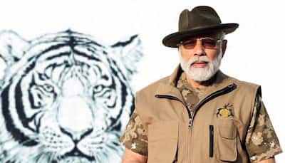 India Has 3,167 Tigers, Reveals Latest Tiger Census Released By PM Modi