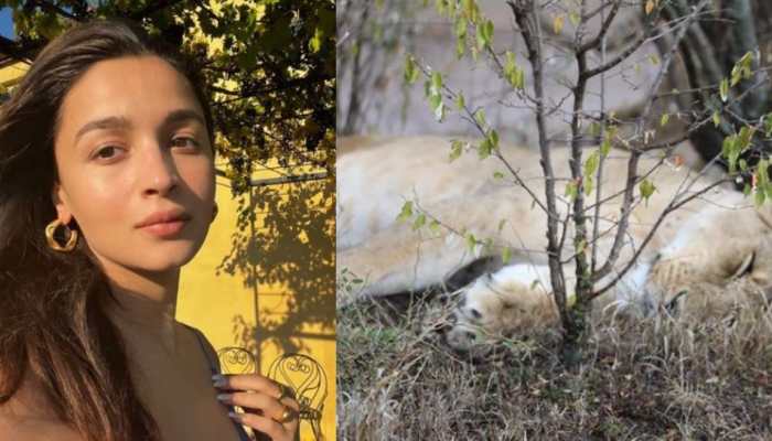 Alia Bhatt Gives A Glimpse Of Her Monday That Still Feels Like Sunday- See Pic