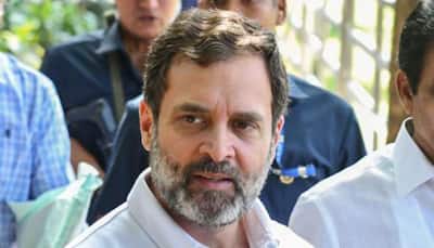 Court To Pronounce Order On Rahul Gandhi's Plea To Stay Conviction In Defamation Case On April 20