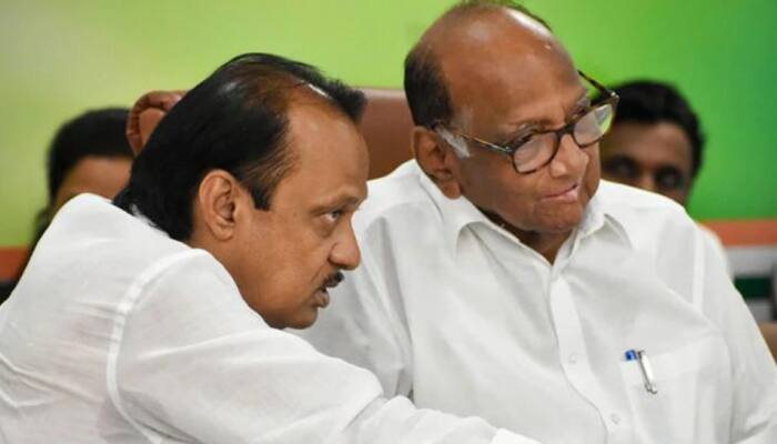 &#039;Ajit Is Busy With Party Work&#039;, Says Sharad Pawar On His Nephew&#039;s Next Political Move