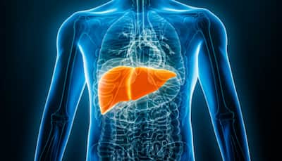 World Liver Day 2023: The Impact Of Alcohol, Junk Food, And Sugar On Liver