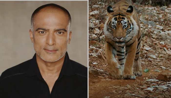 Exclusive: 'Tiger 24' Director Warren Pereira On The Rise Of Human-Wild Conflict