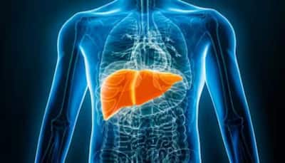 World Liver Day: 15% Of People In India Suffer From Fatty Liver Disease, Says Data