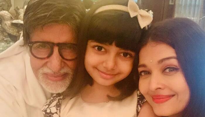 Amitabh Bachchan&#039;s Granddaughter Aaradhya Moves Delhi High Court Over Fake News On Her Health