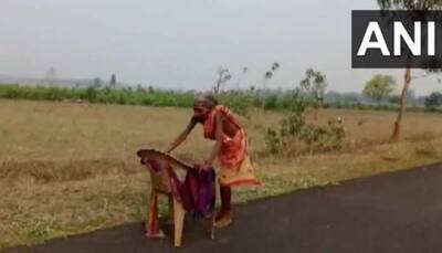 70-Year Old Odisha Woman's Walks Miles For Pension, FM Sitharaman Reacts
