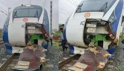 Vande Bharat Express Hits Cattle, Cow Falls On Man Peeing On Tracks; Both Dead