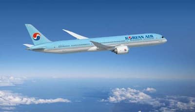 Korean Air Plane Narrowly Avoids Collision With Air Busan Aircraft; Probe Initiated