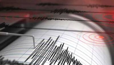 New Zealand Earthquake: 7.1 Strong Earthquake Hits Remote Pacific, No Tsunami Threat