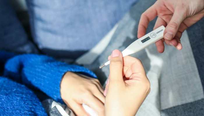 World Malaria Day: Malaria Vs Covid-19 Vs H3N2 Influenza - How To Differentiate, Check Symptoms